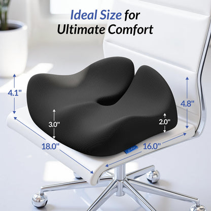 Pioneering Ergonomic Seat Cushions